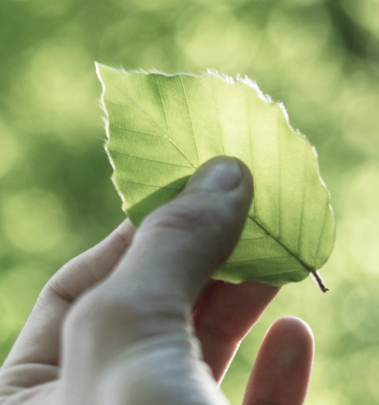 Think green